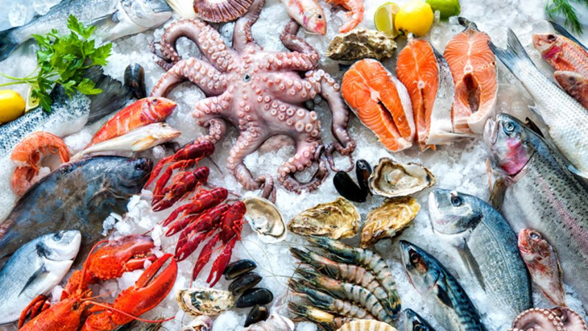 Девять наиболее питательных морепродуктов, рекомендованных к употреблению в зимний сезон
