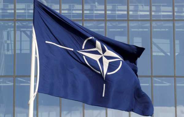 Представители НАТО настоятельно рекомендуют европейским странам подготовиться к возможному отказу США от участия в альянсе