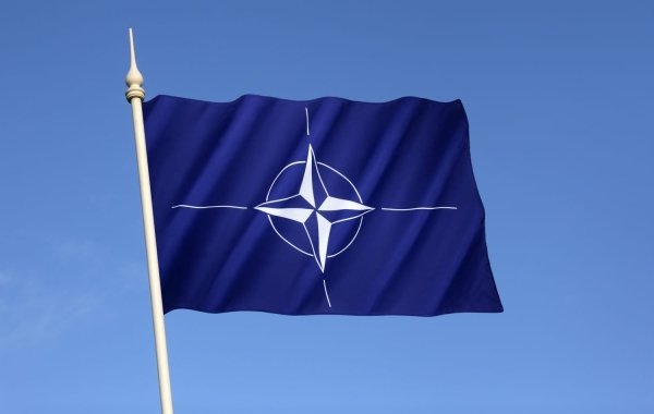 В Совете Федерации раскрыли главную задачу НАТО по отношению к России