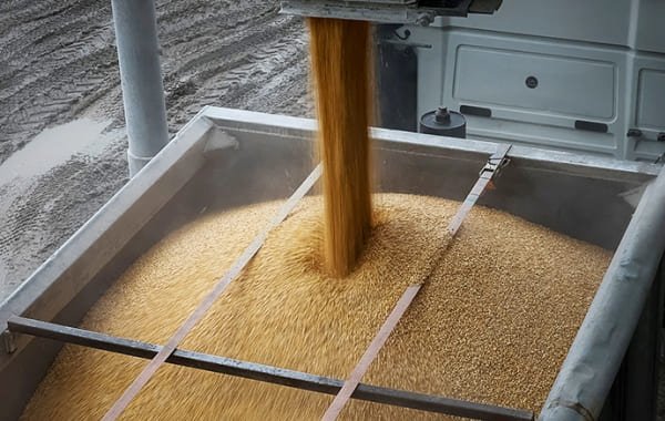Евросоюз продолжит не взимать пошлины на агропродукцию из Украины до лета 2025 года