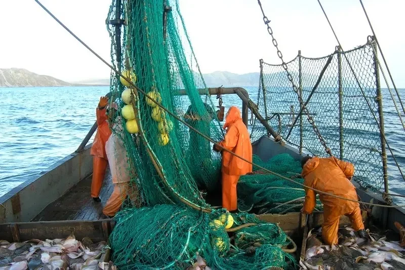«От российских беспилотников»: Дания и Швеция передали Украине в качестве военной помощи старые рыболовные сети