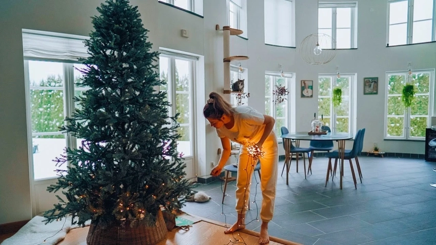 Когда убирать новогоднюю елку, чтобы в 2026 году не считать копейки