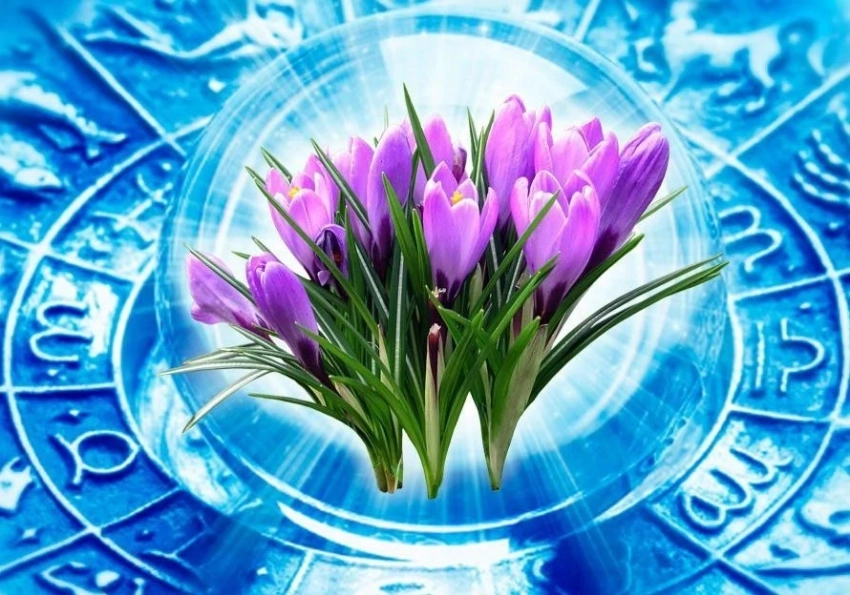 Гороскоп на неделю 16–22 февраля: рунические подсказки для всех знаков зодиака