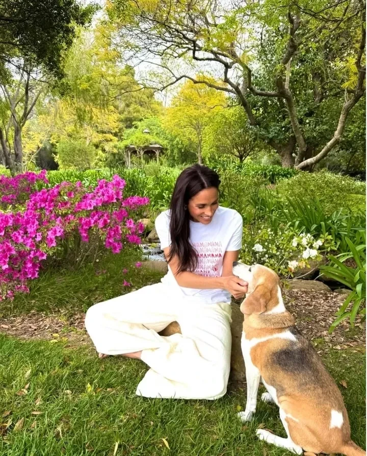 Меган Маркл запустила платные ретриты со своим участием