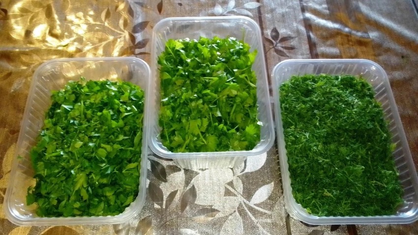 Правила заморозки зелени на зиму, чтобы она сохранила аромат и форму