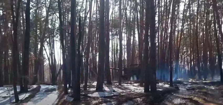 ВС РФ заняли новые территории Сумской области, срезая Бачевский выступ